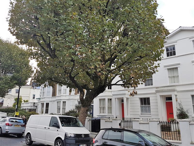 11.regents-park-road-800-per-week